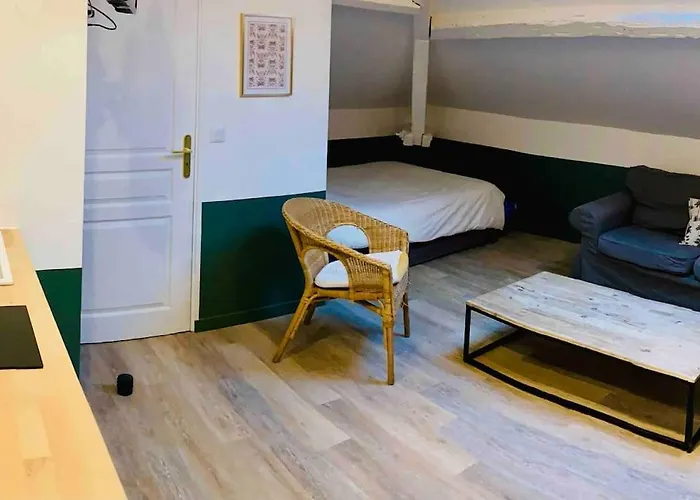 Le Petit Bel Air, Nid Douillet Au Coeur De Nantes