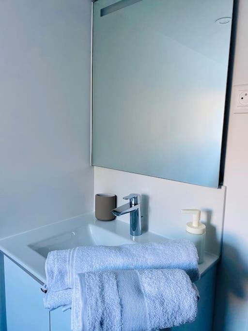 Apartment Le Petit Bel Air, Nid Douillet Au Coeur De Nantes